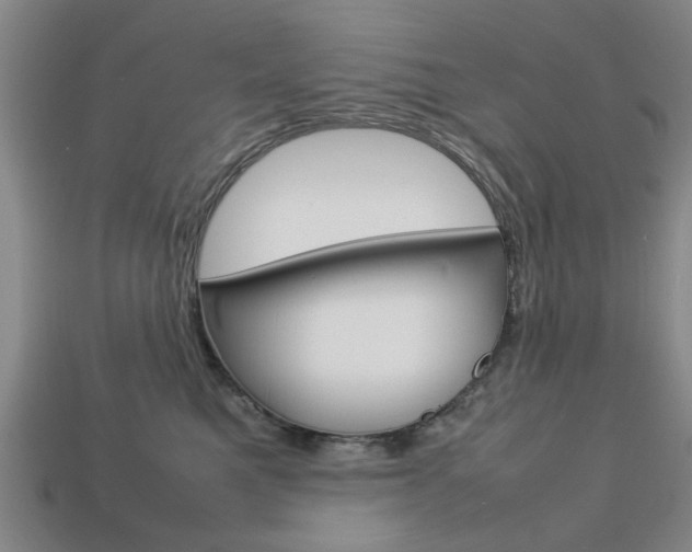 X0000113780521200909231043