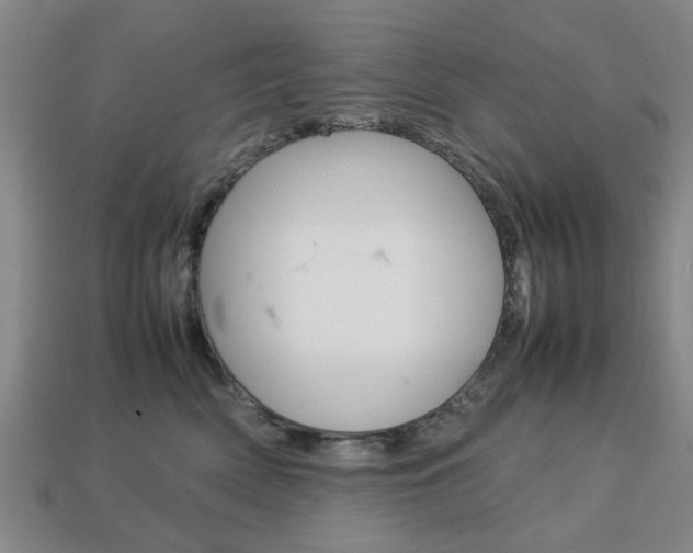 X0000113780522200909231043