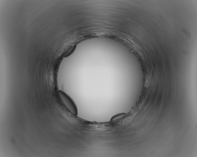 X0000113780524200909231043