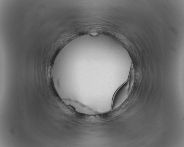 X0000113780525200909231043