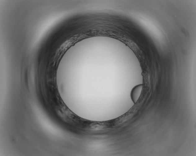 X0000113780526200909231043