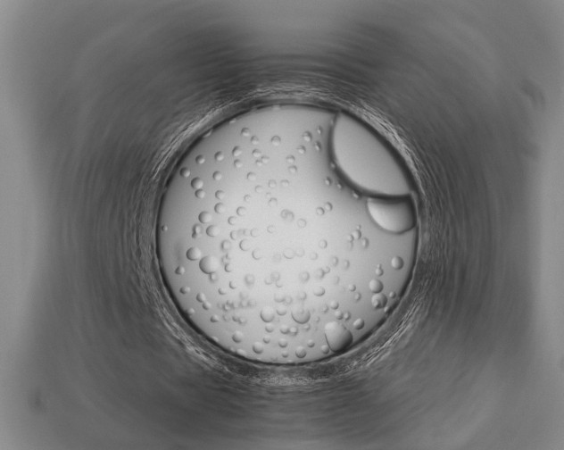 X0000113780529200909231043