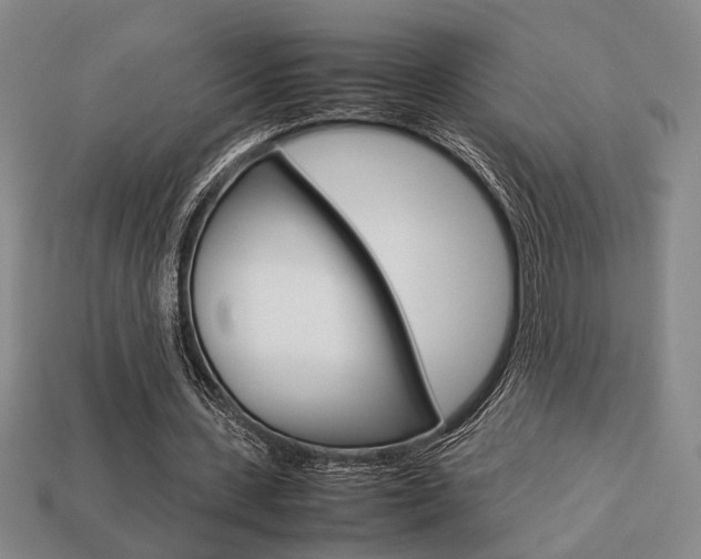 X0000113780531200909231043