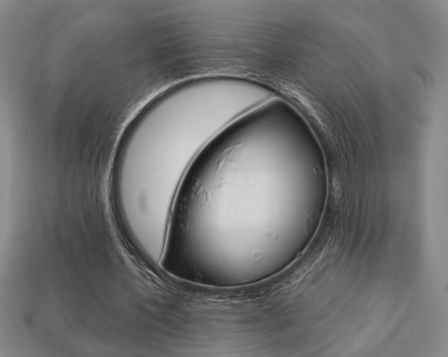 X0000113780532200909231043