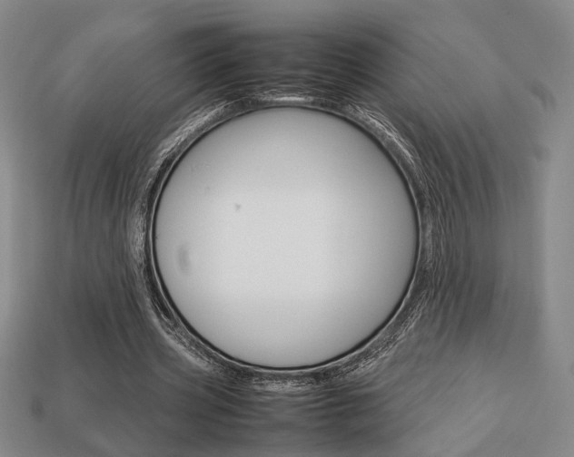 X0000113780533200909231043
