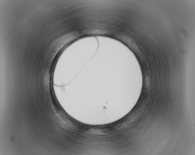 X0000113780534200909231043