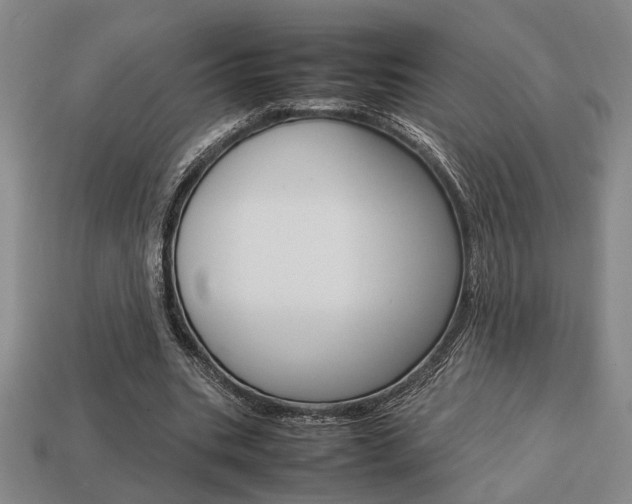 X0000113780535200909231043