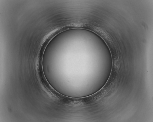 X0000113780536200909231043