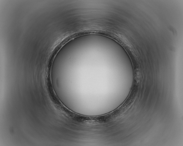 X0000113780544200909231043
