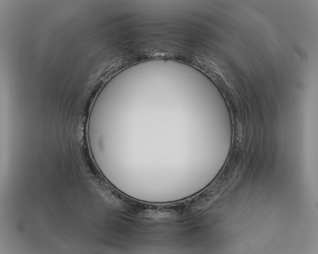 X0000113780545200909231043