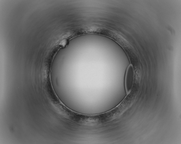X0000113780546200909231043