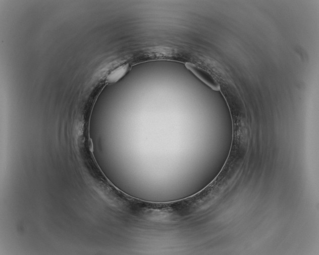 X0000113780548200909231043