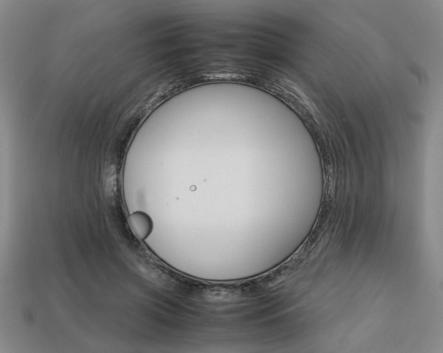 X0000113780549200909231043