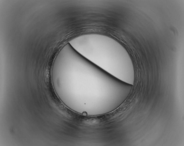 X0000113780551200909231043