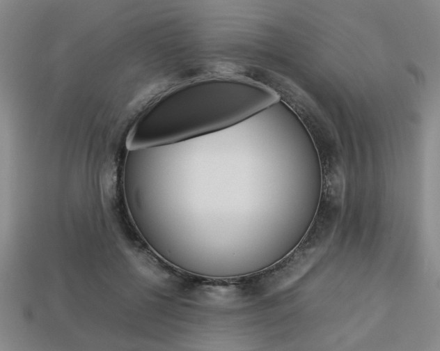 X0000113780552200909231043