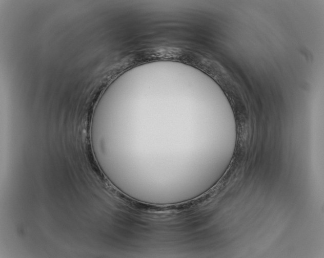 X0000113780553200909231043