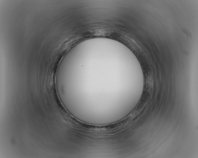 X0000113780554200909231043