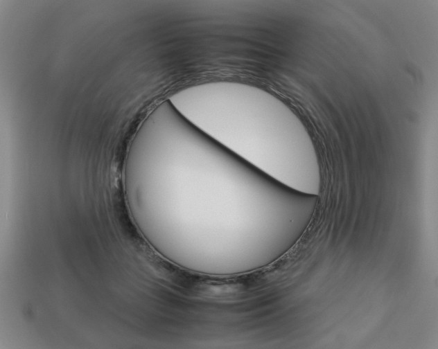 X0000113780555200909231043