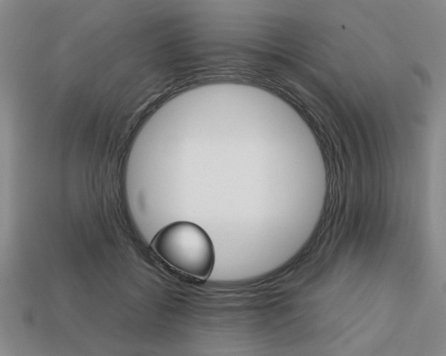 X0000113780556200909231043