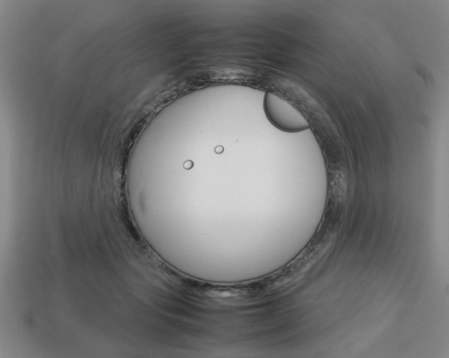 X0000113780557200909231043