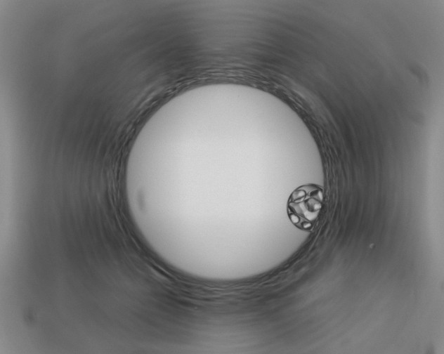 X0000113780558200909231043