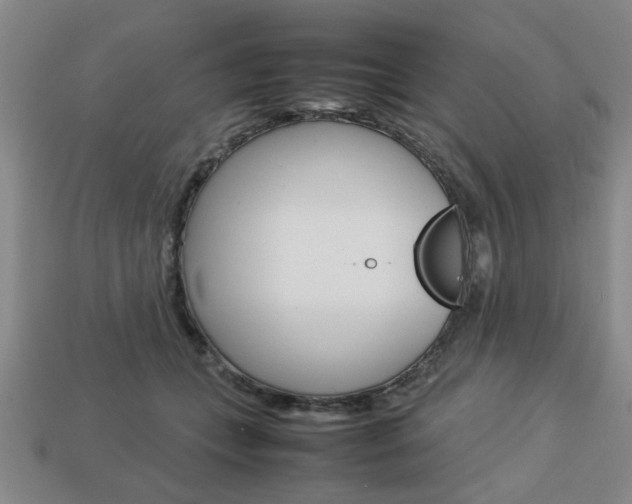 X0000113780559200909231043