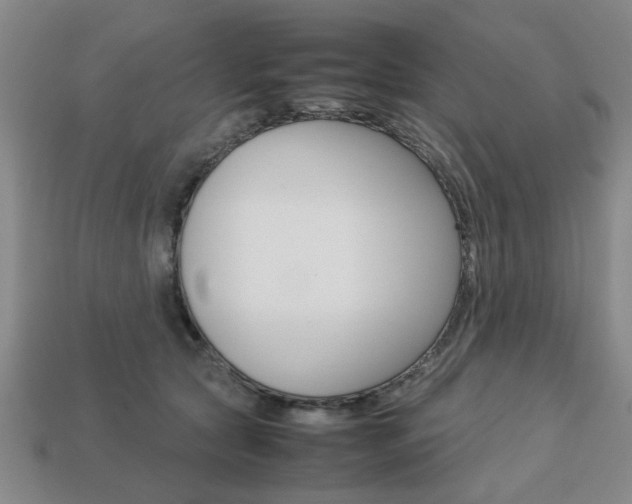 X0000113780561200909231043