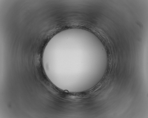X0000113780563200909231043