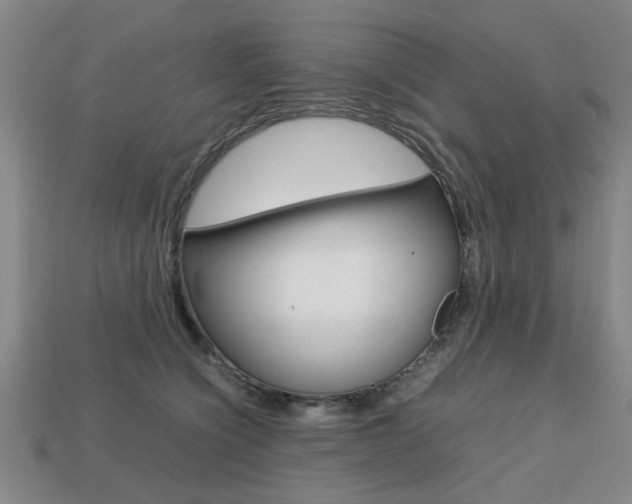 X0000113780564200909231043