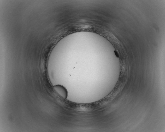 X0000113780565200909231043