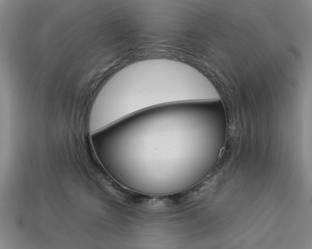 X0000113780566200909231043