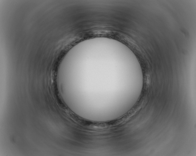 X0000113780567200909231043