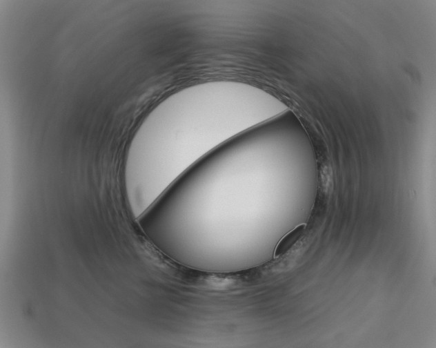 X0000113780570200909231043