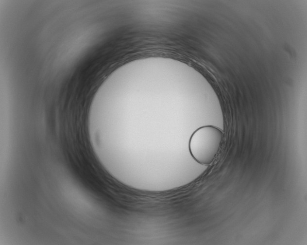 X0000113780572200909231043
