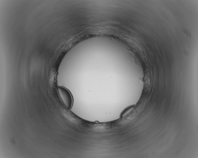 X0000113780574200909231043