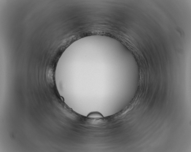 X0000113780575200909231043