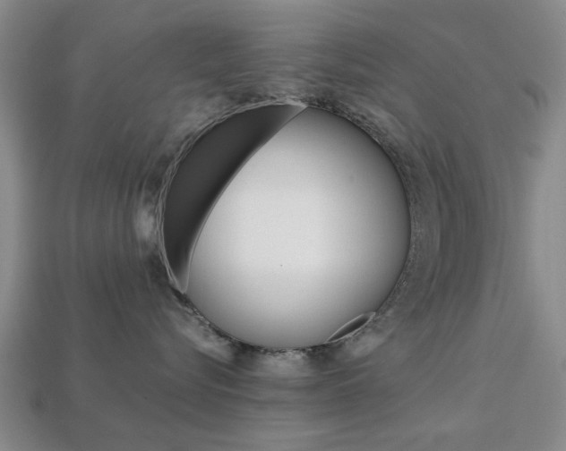 X0000113780576200909231043
