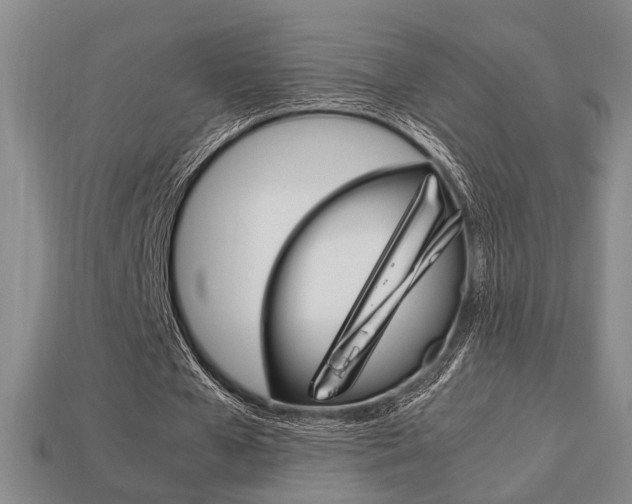 X0000113780577200909231043