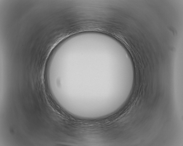X0000113780579200909231043