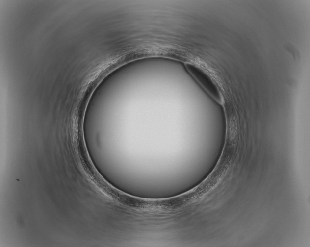 X0000113780581200909231043