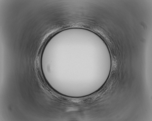X0000113780583200909231043