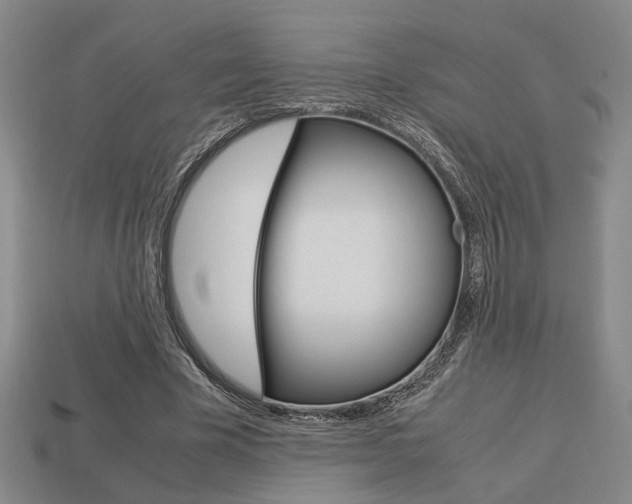 X0000113780585200909231043