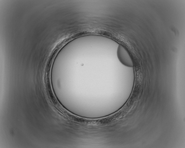 X0000113780587200909231043