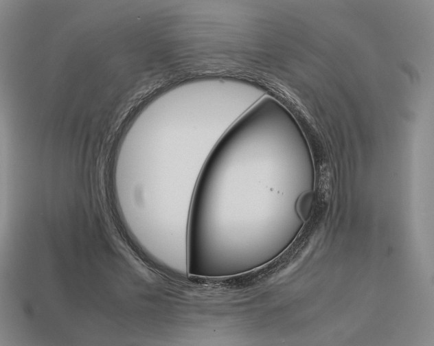 X0000113780589200909231043