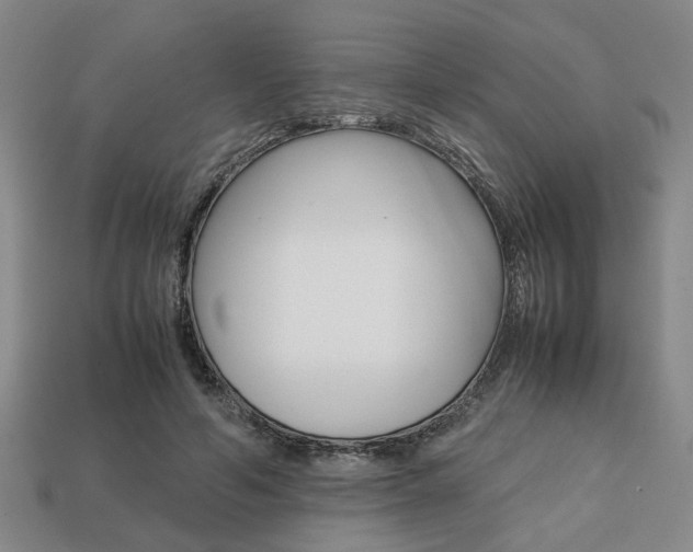 X0000113780594200909231043