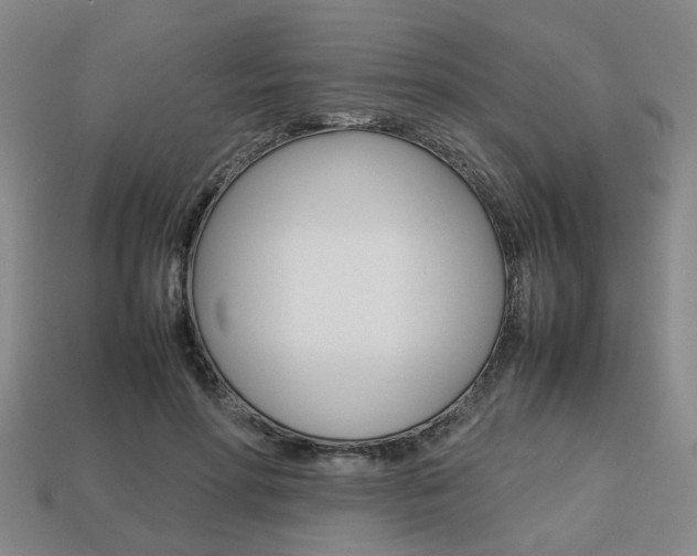 X0000113780598200909231042
