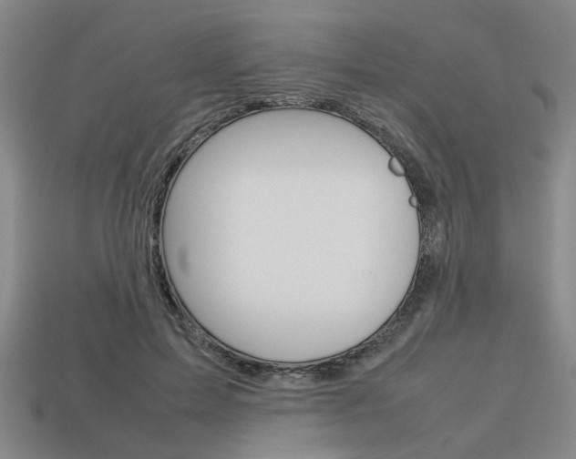 X0000113780599200909231042