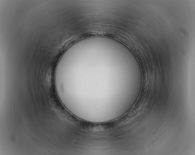 X0000113780600200909231042