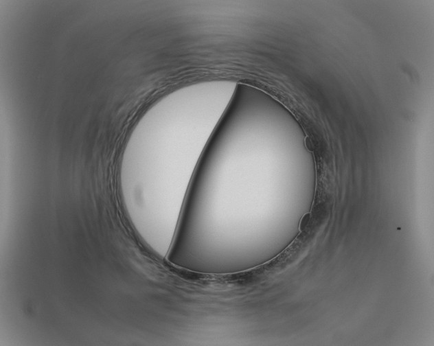 X0000113780601200909231042