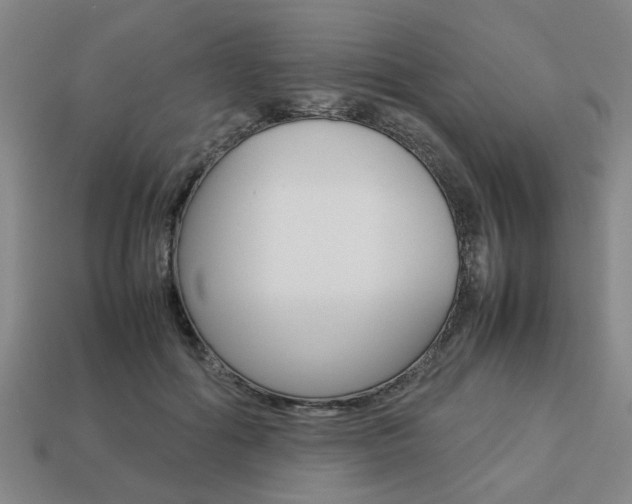 X0000113780602200909231042